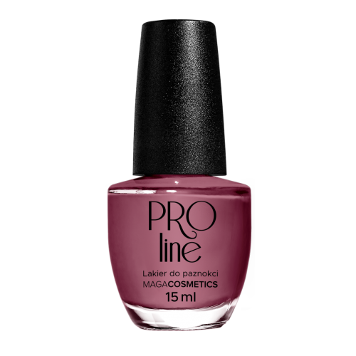 Lakier PROLine 039