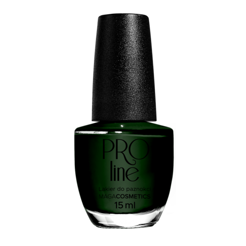 Lakier PROLine 042