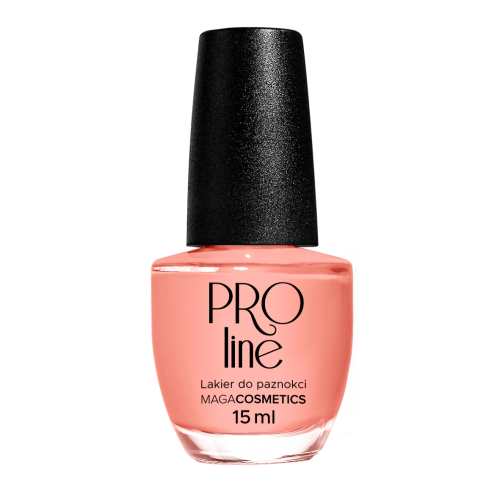 Lakier PROLine 063