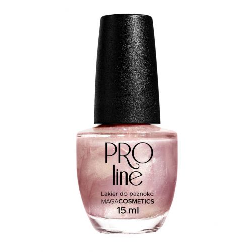 Lakier PROLine 072