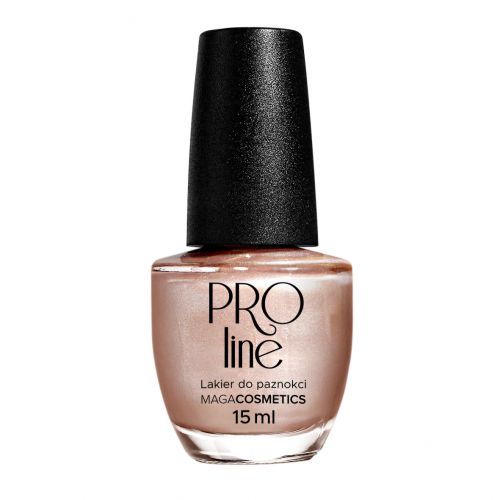 Lakier PROLine 005