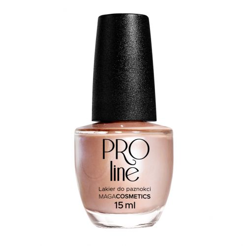 Lakier PROLine 009