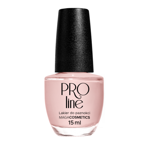 Lakier PROLine 025