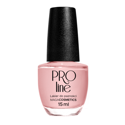 Lakier PROLine 026