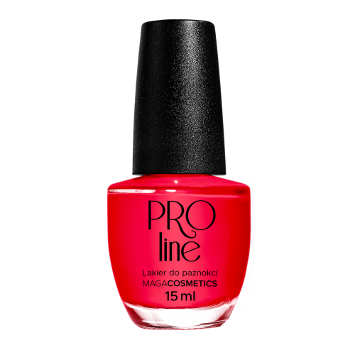 Lakier PROLine 027