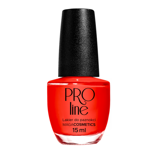 Lakier PROLine 031