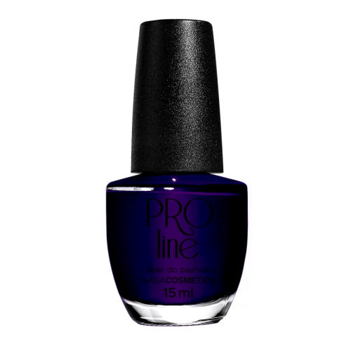 Lakier PROLine 036