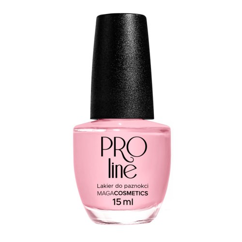 Lakier PROLine 053