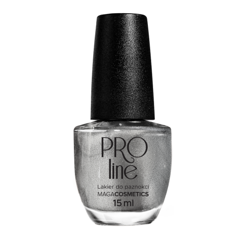 Lakier PROLine 073