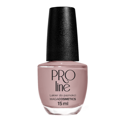 Lakier PROLine 076