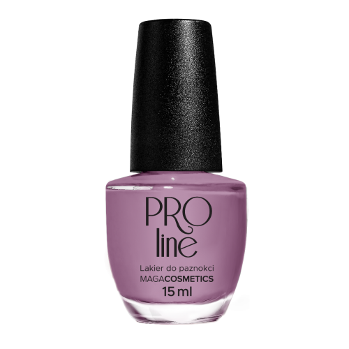 Lakier PROLine 077