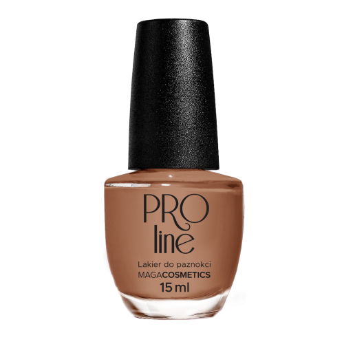 Lakier PROLine 079