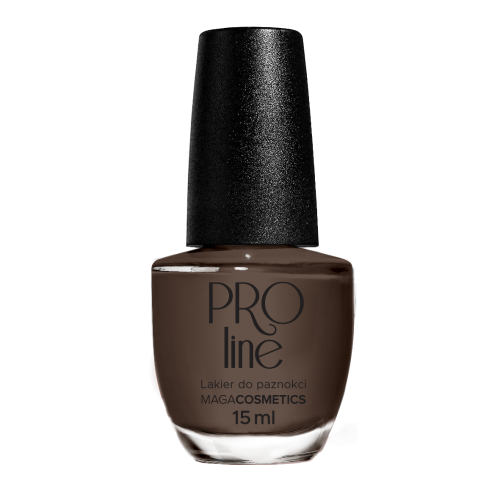 Lakier PROLine 081