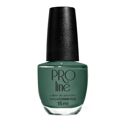 Lakier PROLine 084
