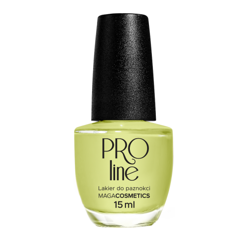 Lakier PROLine 088