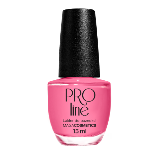 Lakier PROLine 091
