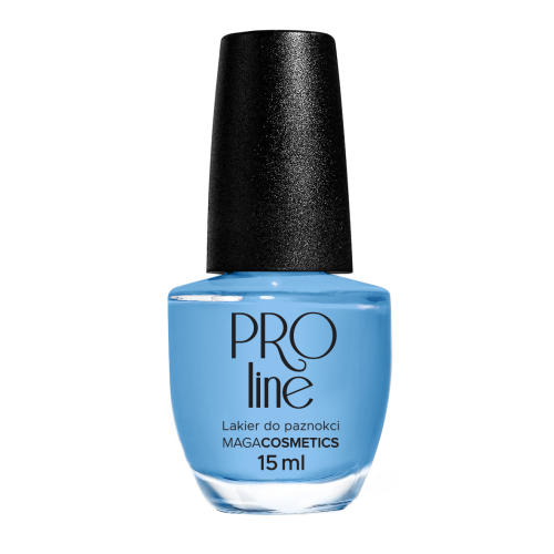 Lakier PROLine 092