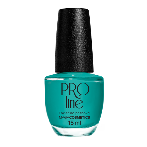 Lakier PROLine 094